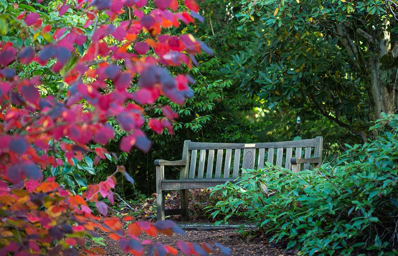 botanical gardens ubc